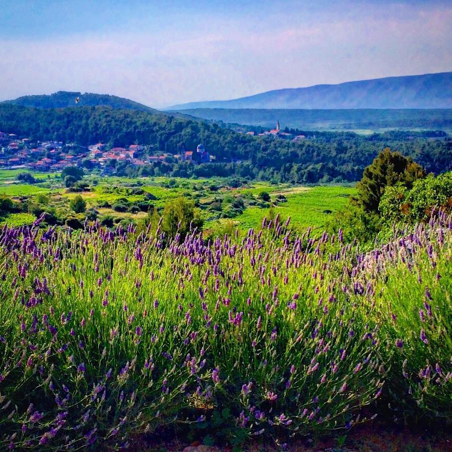 Villa Veli Nova Zavala Dış mekan fotoğraf